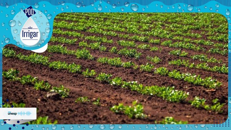 Capa do podcast Saiba como analisar a umidade adequada no solo para que os cultivos possam crescer saudáveis