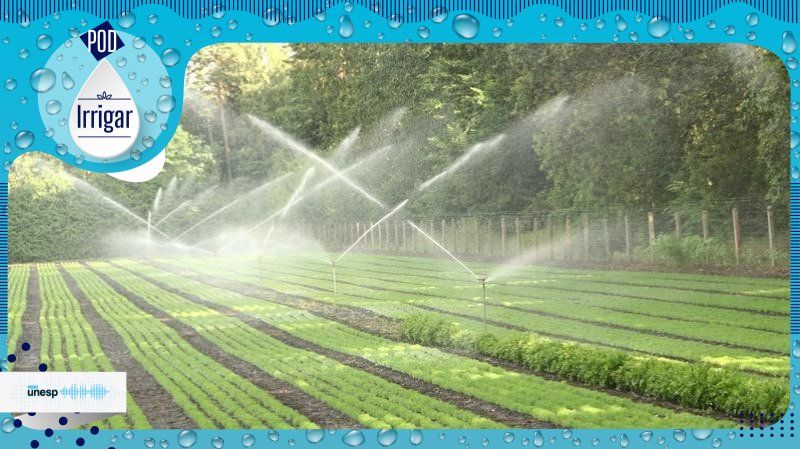Capa do podcast Qual o melhor mês para investir em sistemas de irrigação nas lavouras?