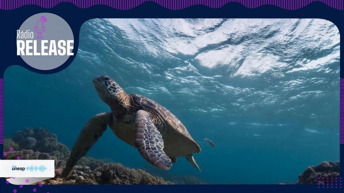 Capa do podcast Dia Internacional da Biodiversidade: Harmonia com a natureza e desenvolvimento sustentável