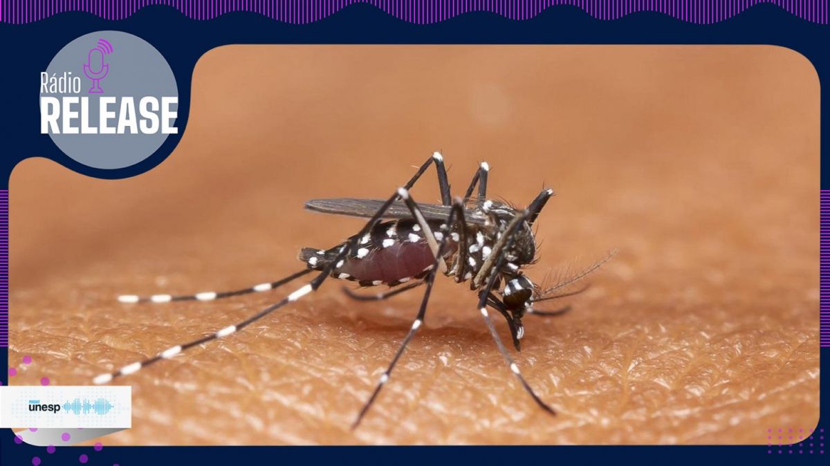 Capa do podcast Pós-doutorando da Unesp alerta sobre os riscos do aumento de casos de dengue durante a atuação no novo El Niño