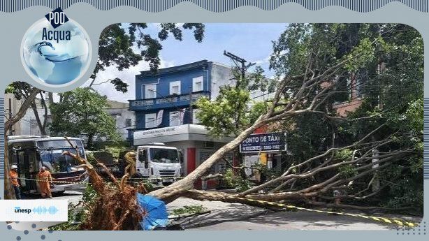 Imagem de capa do Podcast